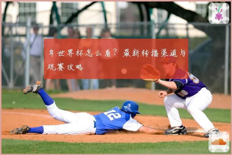 年世界杯怎么看？最新转播渠道与观赛攻略