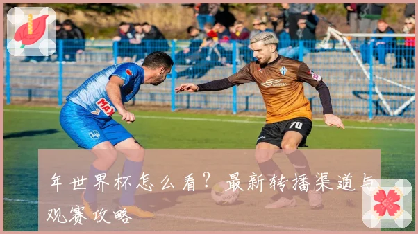 年世界杯怎么看？最新转播渠道与观赛攻略