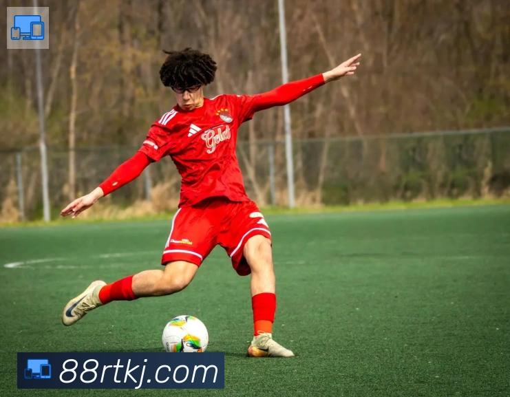 华体app登录入口荣誉