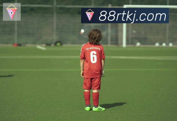 华体app登录入口荣誉